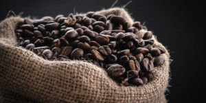 Beitragsbild des Blogbeitrags Kolumbien: Greenwashingvorwurf gegen Nestlés Kaffeefinca-Aufforstungsprogramm 