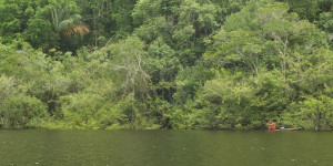 Beitragsbild des Blogbeitrags Schmutziges Geld und die Zerstörung des Amazonas