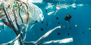 Beitragsbild des Blogbeitrags Globales Plastikmüllabkommen: Wieso ein weltweites Abkommen so wichtig wäre