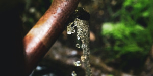 Beitragsbild des Blogbeitrags Costa Rica: Verfassungsgericht ordnet Verbot von Pestizid an