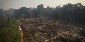 Beitragsbild des Blogbeitrags Drogenhandel trägt zur Abholzung des Amazonas bei 