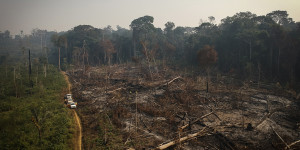 Beitragsbild des Blogbeitrags Drogenhandel trägt zur Abholzung des Amazonas bei
