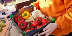 Beitragsbild des Blogbeitrags Die Tafel Österreich startet Petition gegen Lebensmittelverschwendung und Ernährungsarmut 