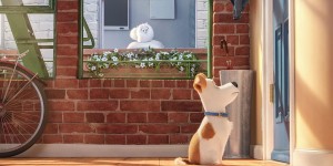 Beitragsbild des Blogbeitrags Pets – Filmkritik 