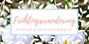 Beitragsbild des Blogbeitrags Wandern im Frühling/ Der Schneeglöckchenwald - eine der schönsten Blumenwanderungen in Österreich 
