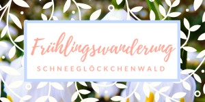 Beitragsbild des Blogbeitrags Wandern im Frühling/ Der Schneeglöckchenwald - eine der schönsten Blumenwanderungen in Österreich