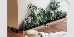 Beitragsbild des Blogbeitrags christmas playlist