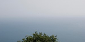 Beitragsbild des Blogbeitrags 2017: Und was ist sonst noch alles möglich?