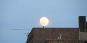 Beitragsbild des Blogbeitrags Voll toll, der Vollmond! Na, ich weiß nicht … 