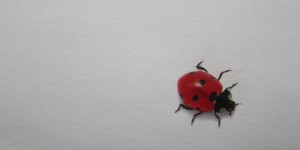 Beitragsbild des Blogbeitrags UNSER GLÜCKSTAG: Ein Tag im Zeichen des Glücks