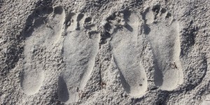Beitragsbild des Blogbeitrags Liebesglück: Dankbar für 19 Jahre