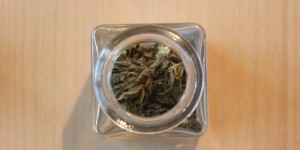 Beitragsbild des Blogbeitrags Cannabis: Ein High auf Hanf