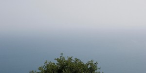 Beitragsbild des Blogbeitrags Richtig oder falsch: Ist das eine Frage?