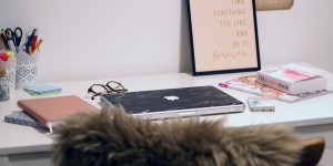 Beitragsbild des Blogbeitrags CaseApp Zusammenarbeit + Einblick Home Office