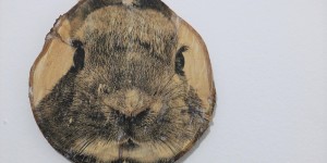 Beitragsbild des Blogbeitrags Holzosterhase