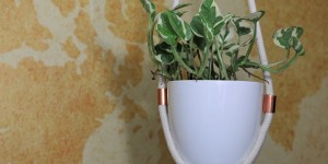 Beitragsbild des Blogbeitrags Blumenampel aus Seilen und Kupferrohr