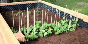 Beitragsbild des Blogbeitrags Gartenprojekt: DIY Hochbeet 