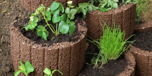 Beitragsbild des Blogbeitrags Gartenprojekt: Pflanzenstufen 