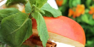 Beitragsbild des Blogbeitrags Tchin Tchin Day: Apple Cider Mojito