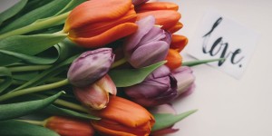 Beitragsbild des Blogbeitrags Heart 2 Heart – 5 Dinge, die wir lieben