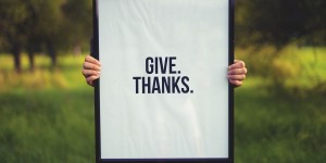 Beitragsbild des Blogbeitrags 5 Fakten über Thanksgiving