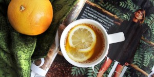 Beitragsbild des Blogbeitrags Tchin Tchin Day: Warmer Gin-Punsch