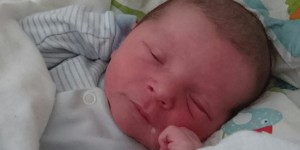 Beitragsbild des Blogbeitrags Laurentins Geburt  