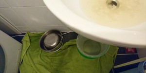 Beitragsbild des Blogbeitrags 12 von 12 im August 2016