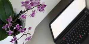 Beitragsbild des Blogbeitrags Zwischen Hausarbeit und Serien – produktiv im Home Office