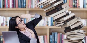 Beitragsbild des Blogbeitrags Bower or Library Manager?
