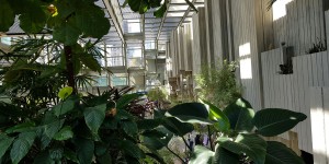 Beitragsbild des Blogbeitrags Microsoft Build 2020 – Highlights