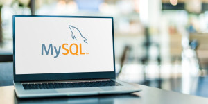 Beitragsbild des Blogbeitrags Using MySQL in a Docker container with EF Core