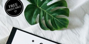 Beitragsbild des Blogbeitrags STUNDENPLAN FREE PRINTABLE - PLUS MEMO STICKER