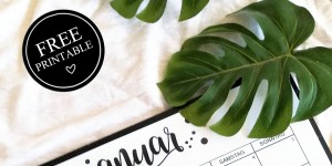 Beitragsbild des Blogbeitrags MONATSKALENDER 2020 - PLANEN UND ORGNISIEREN - FREEBIE