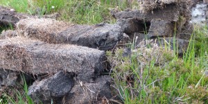 Beitragsbild des Blogbeitrags Islay Session 2018