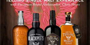 Beitragsbild des Blogbeitrags Teeling Single Malt Experience 