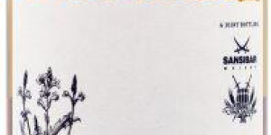 Beitragsbild des Blogbeitrags Secret Irish 1990