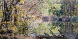 Beitragsbild des Blogbeitrags Ein kleiner Ausflug in den Schlosspark Seebenstein 