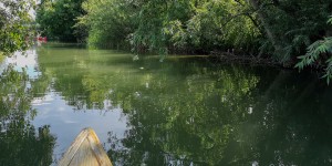 Beitragsbild des Blogbeitrags Boot fahren am Wiener Neustädter Kanal