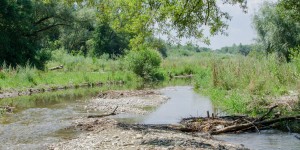 Beitragsbild des Blogbeitrags Flusserkundung und Abkühlung am Leitha-Ursprung 