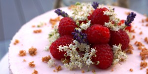 Beitragsbild des Blogbeitrags Cheesecake geht immer – heute beerig fruchtig