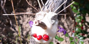 Beitragsbild des Blogbeitrags Selbstgemachte Knete mit Alaun