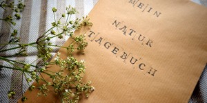 Beitragsbild des Blogbeitrags Naturtagebuch …und Mission „Fasten“ gescheitert… 