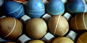 Beitragsbild des Blogbeitrags Ostereier mit natürlichen Farben färben {Challenge your Creativity}