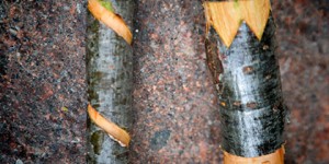 Beitragsbild des Blogbeitrags Wanderstock …geschnitzt, gewickelt, verschönert… 