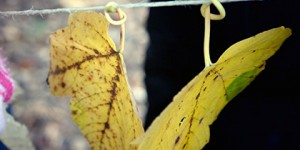 Beitragsbild des Blogbeitrags Tatort: LandArt …Zeitmanagement ist alles…