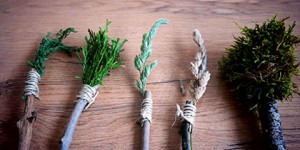Beitragsbild des Blogbeitrags Pinsel aus Naturmaterialien …Bloggertreffen der Vollprofis…
