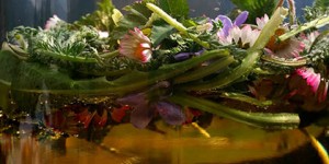 Beitragsbild des Blogbeitrags Frühlingswiesen-Essig …Eieiei…