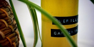 Beitragsbild des Blogbeitrags Guerilla-Gardening-Lotion …Booklove „Vegane Kosmetik“…