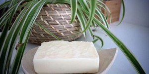 Beitragsbild des Blogbeitrags Dusch-Bars …mit Verspätung… 